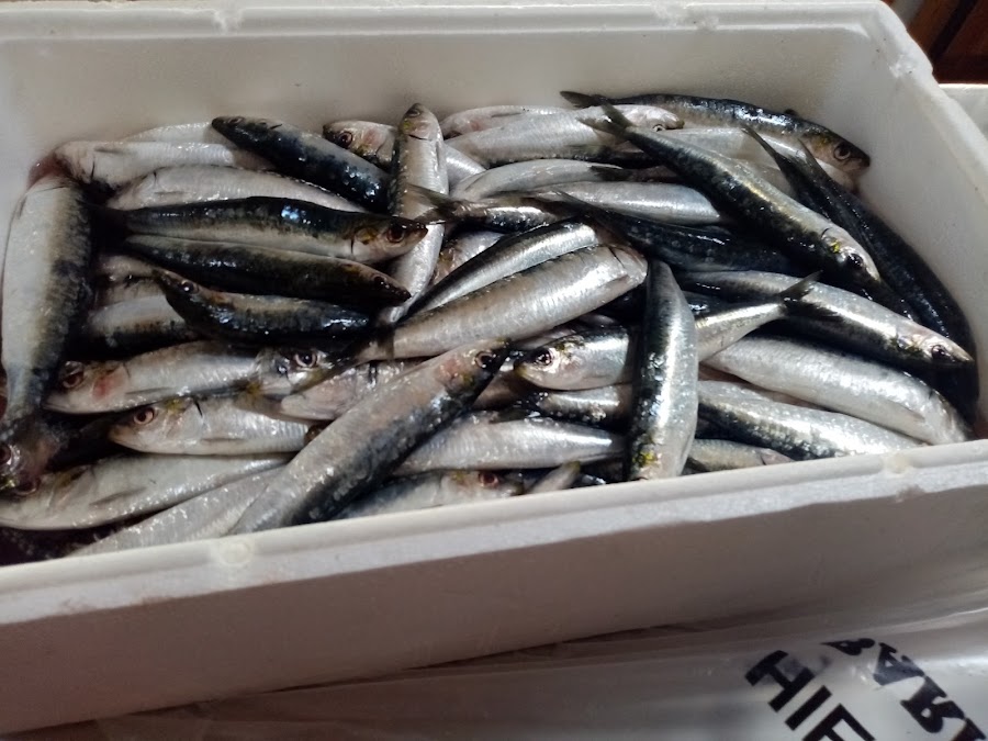 Bar Manuel Las Almenas