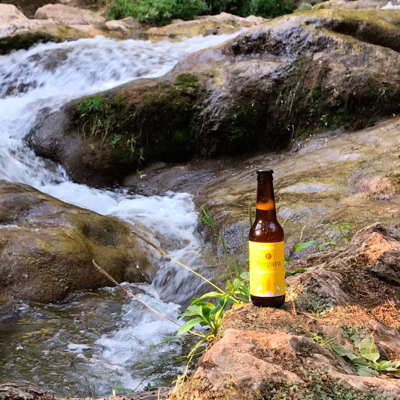 Cervezas Pergara, S.L.