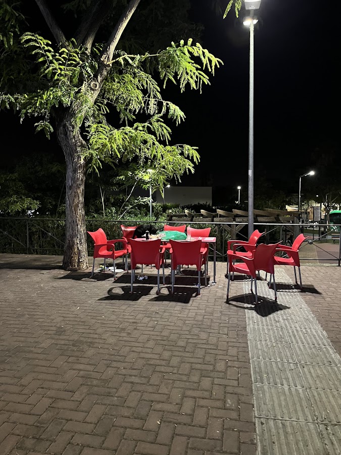 Turkey kebab (Palomares Del Rio)